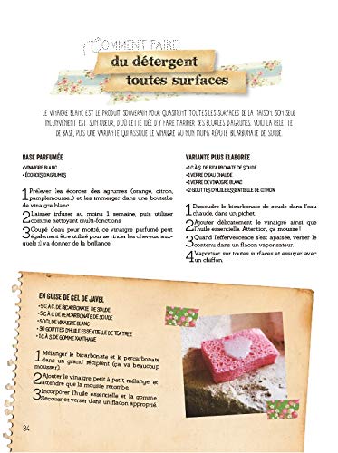 Tout faire soi-même astuces ecolo - Recyclage, DIY zéro déchet et en autonomie : cuisine, déco & objets pour la maison, cosmétiques, produits d'entretien, jardin