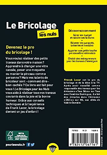 Le bricolage pour les Nuls, Poche : Livre sur le bricolage, Apprendre le bricolage pour les débutants, Toutes les clés pour réaliser vos travaux d'aménagement, de décoration et réparation