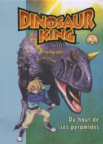 Du haut de ces pyramides