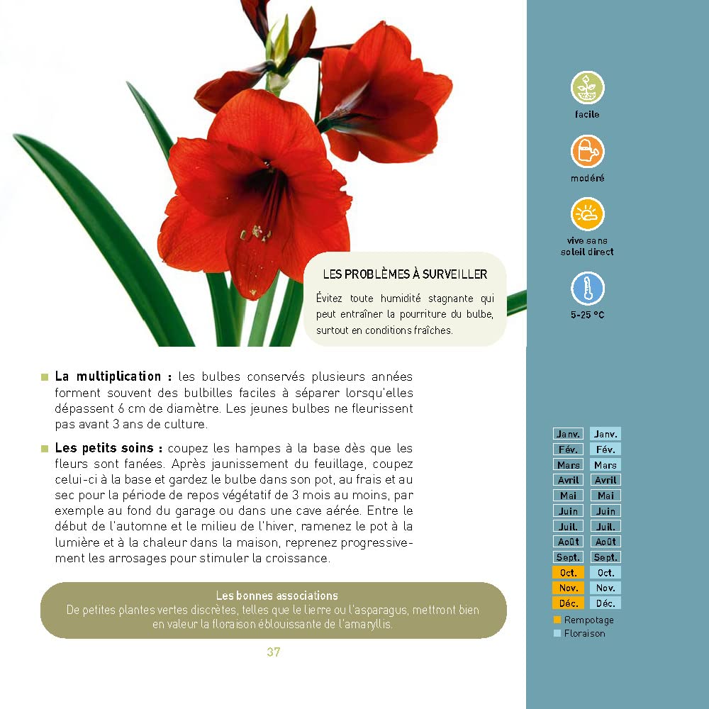 Que du bonheur avec mes plantes d intérieur