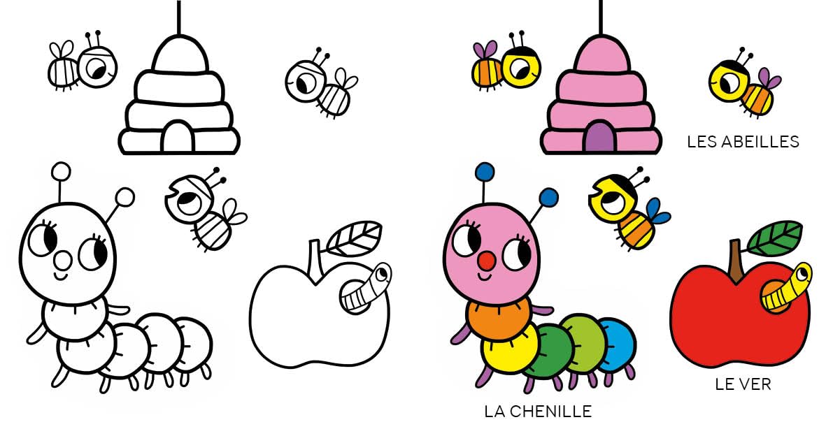 Coloriage imagier animaux