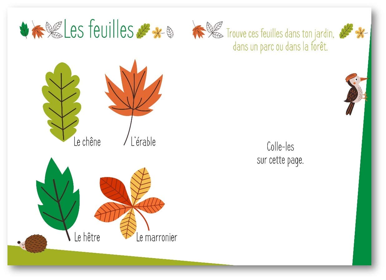 Mes activités en forêt + stickers
