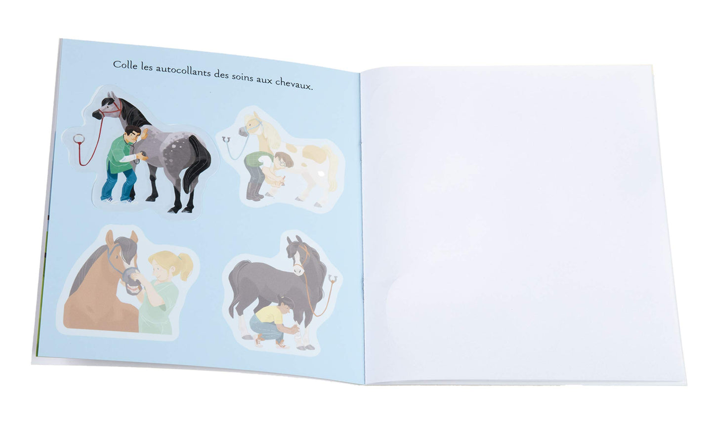 Les poneys et les chevaux