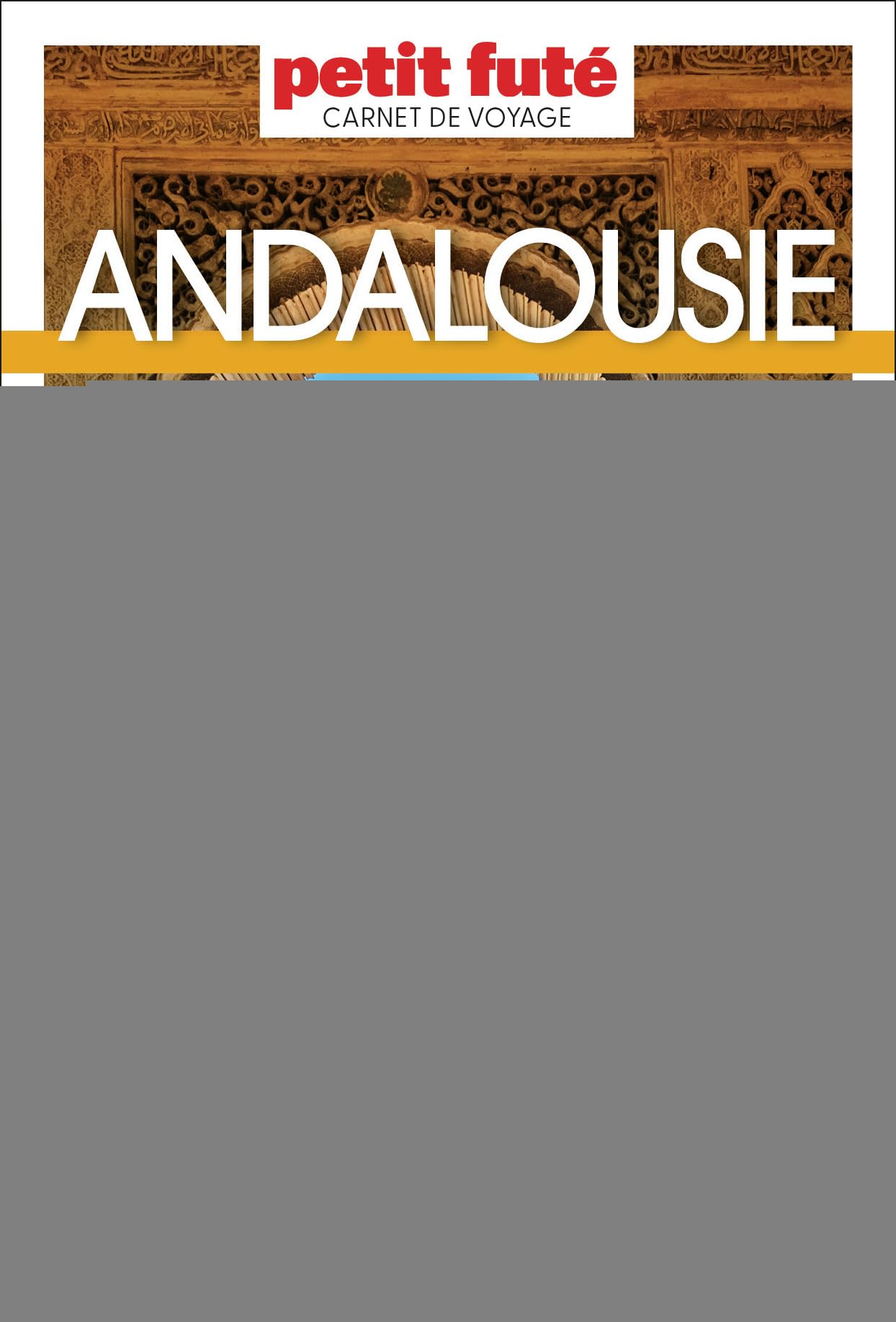 Guide Andalousie 2025 Carnet Petit Futé (2025)