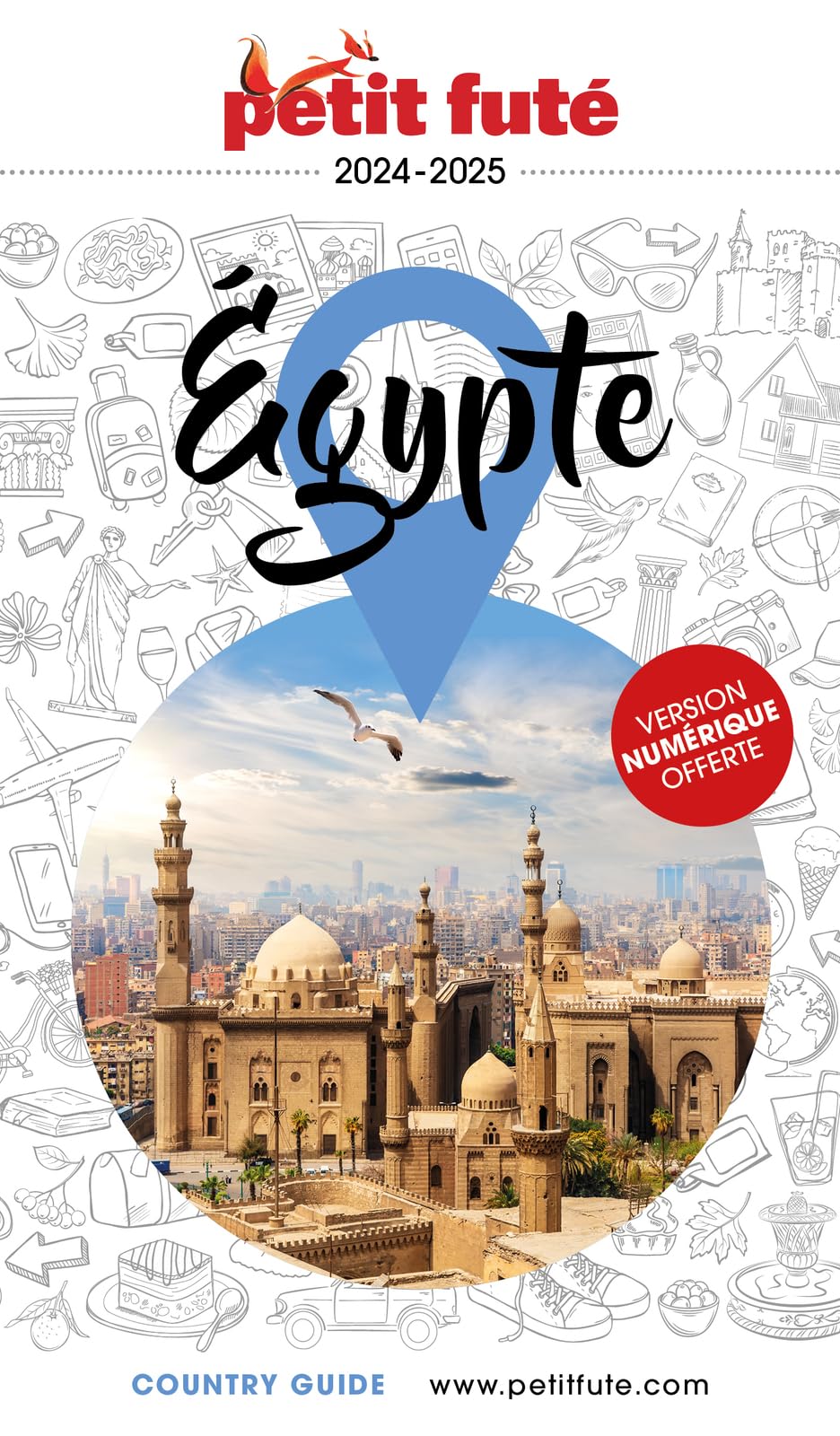 Guide Egypte 2024/2025 Petit Futé (2024-2025)