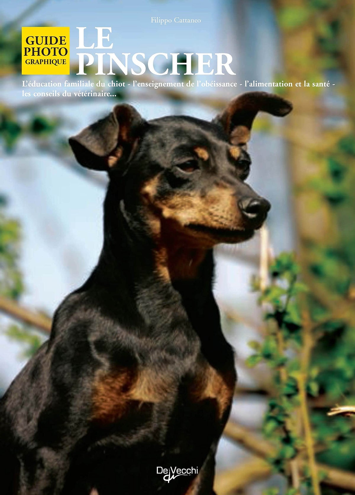 Le Pinscher
