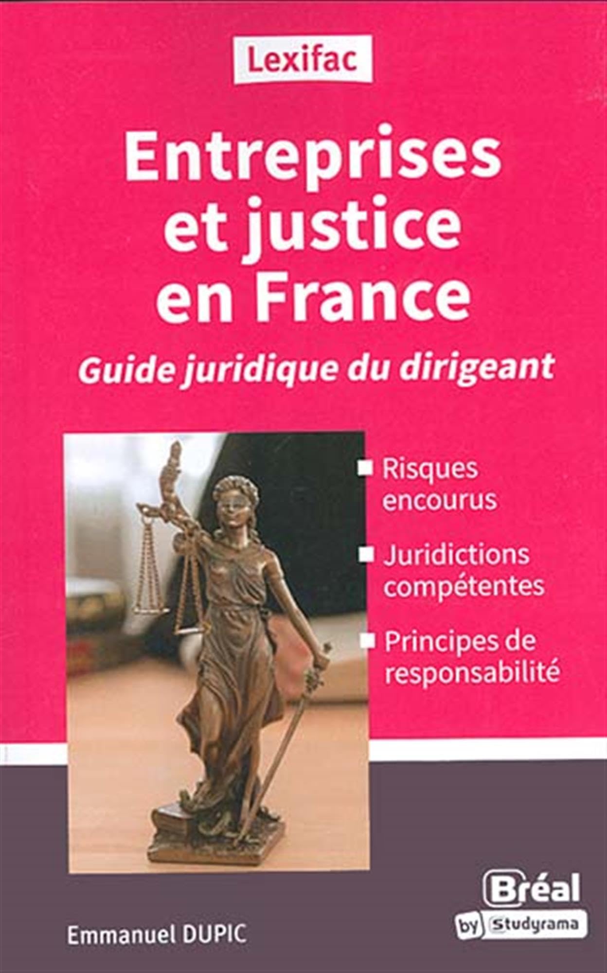 Entreprises et justice en France: Guide juridique du dirigeant