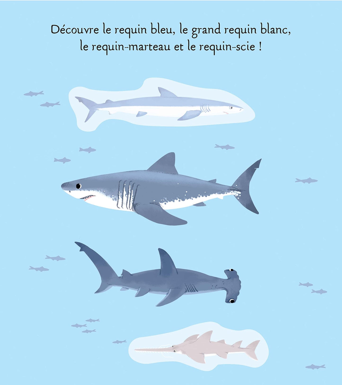 Les animaux de la mer