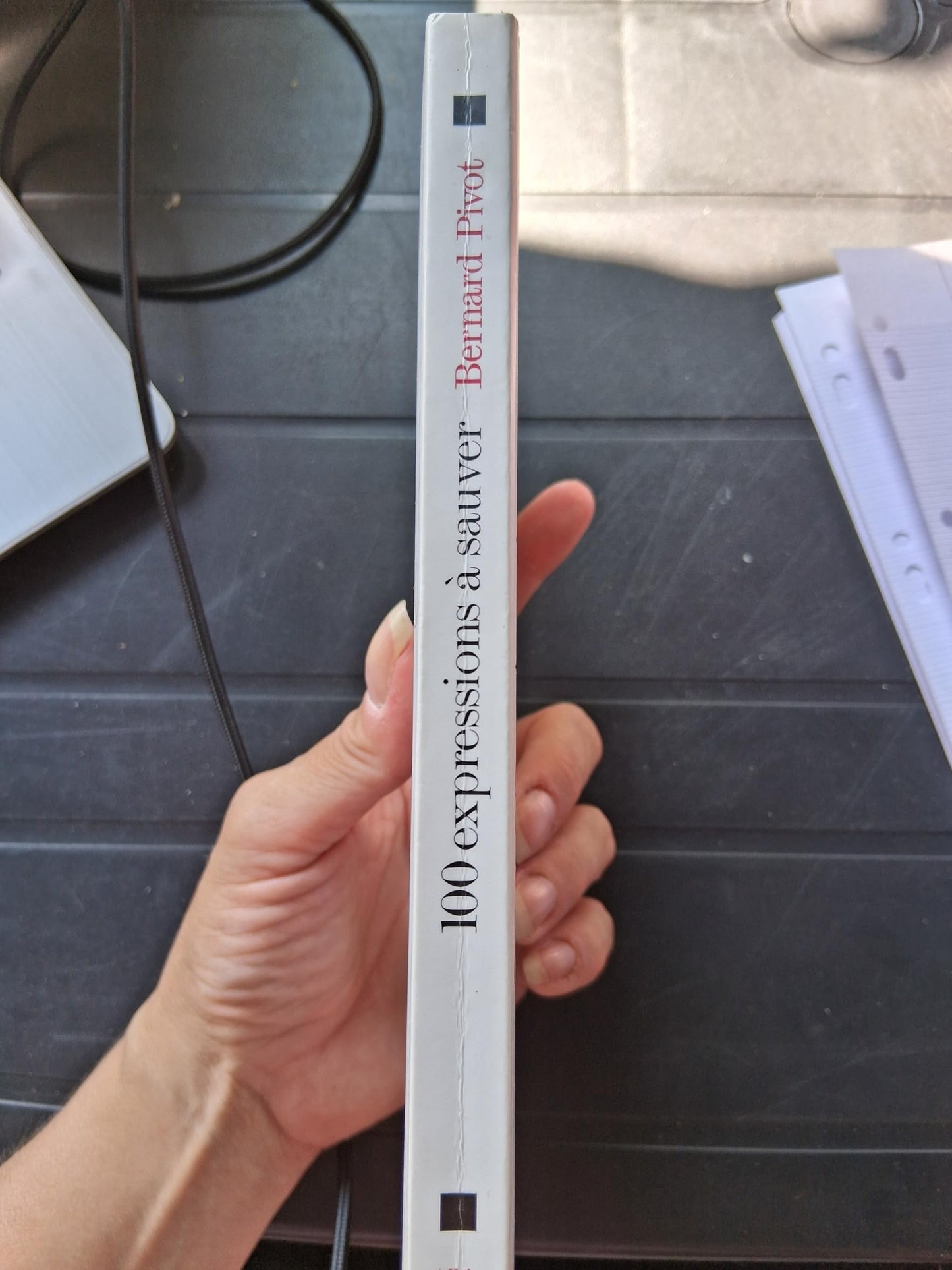 100 Expressions à sauver