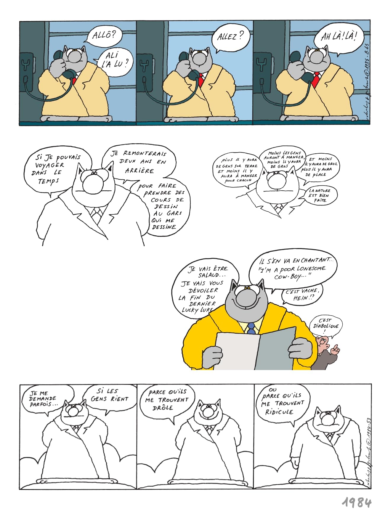 Le Chat, Tome 15 : Une vie de Chat