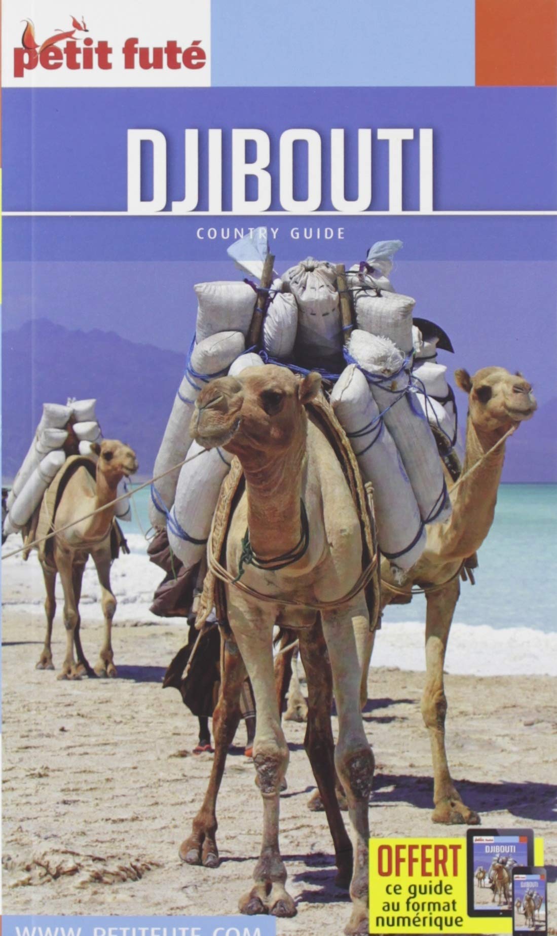 Guide Djibouti 2020-2021 Petit Futé