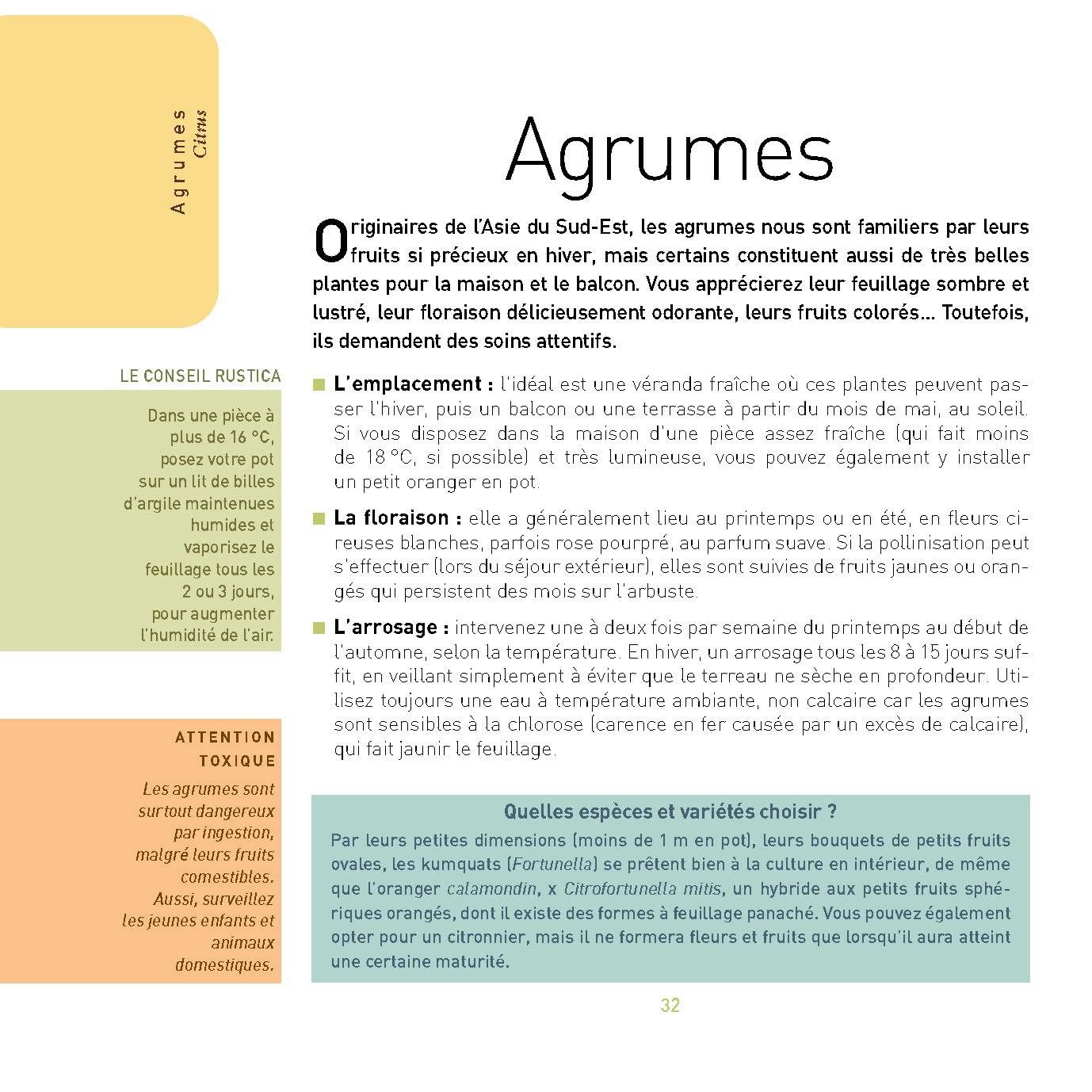 Que du bonheur avec mes plantes d intérieur