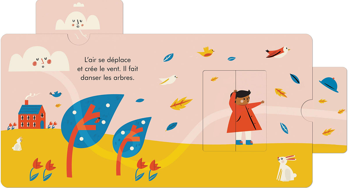 LA MÉTÉO (COLL. MON LIVRE À FENÊTRES SURPRISES )