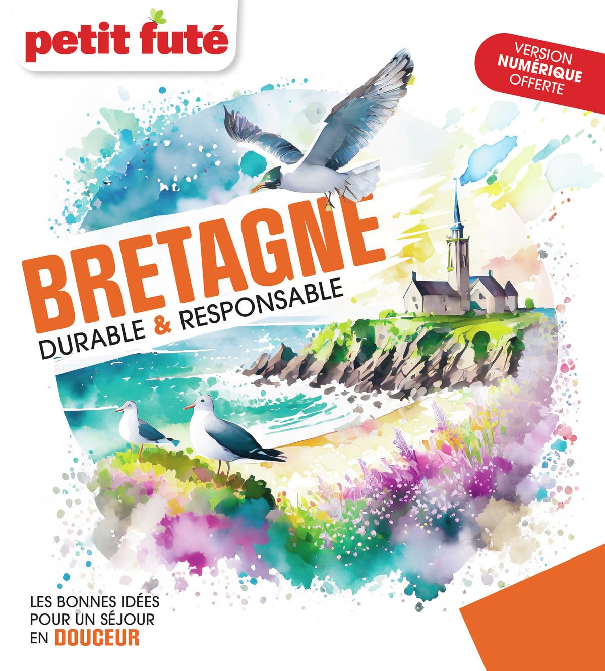 Guide Bretagne Durable & Responsable 2024 Petit Futé (2024)