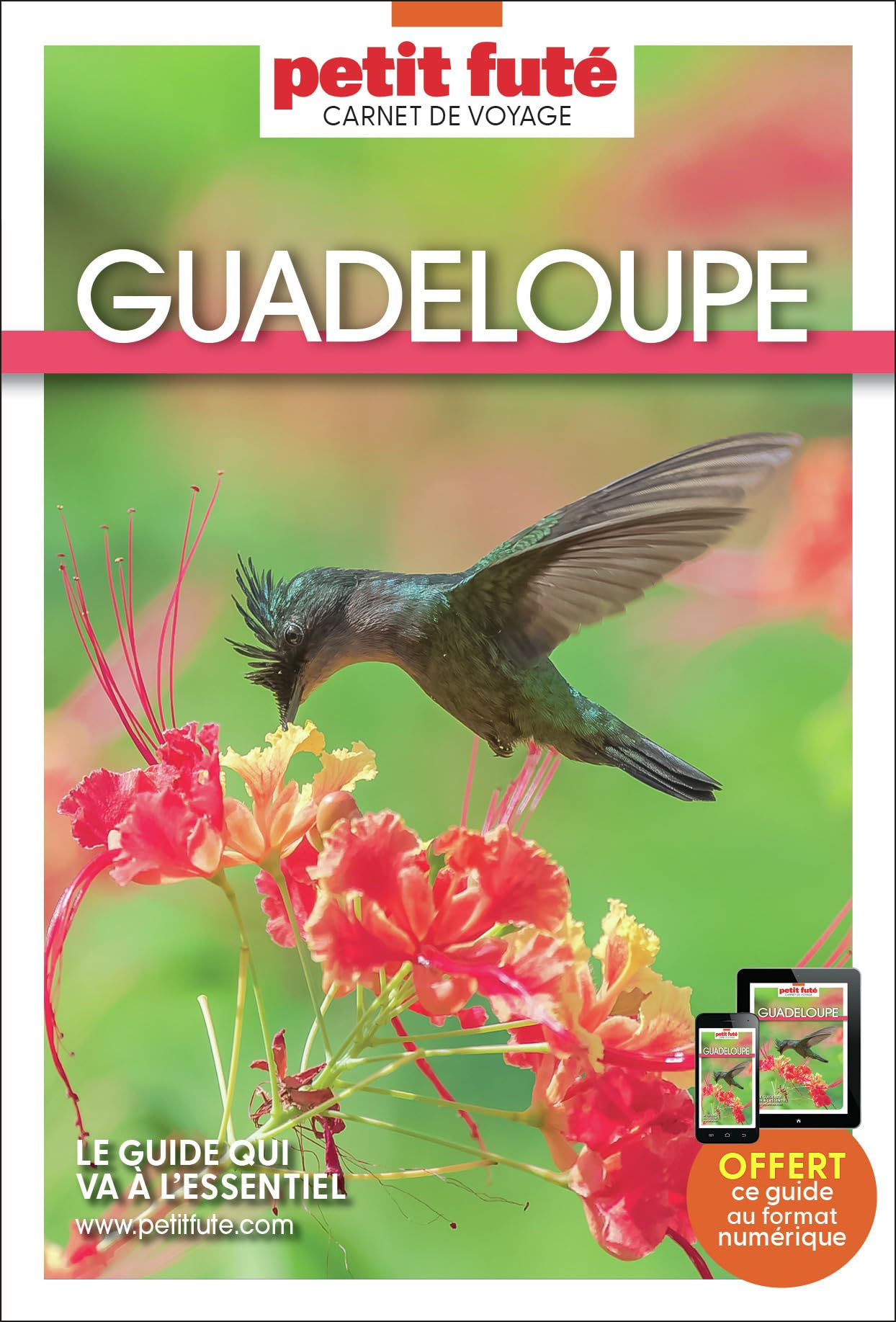 Guide Guadeloupe 2025 Carnet Petit Futé (2025)