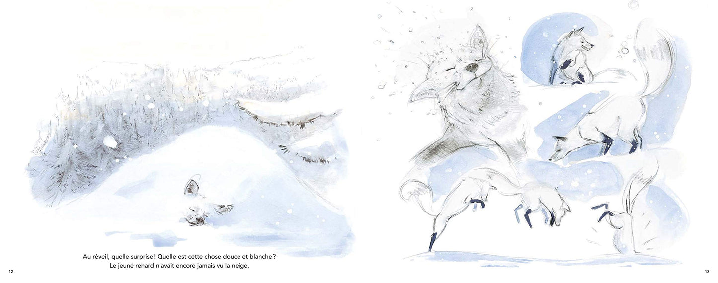 Le renard blanc