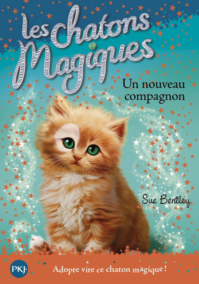 Les chatons magiques - tome 19 : Un nouveau compagnon