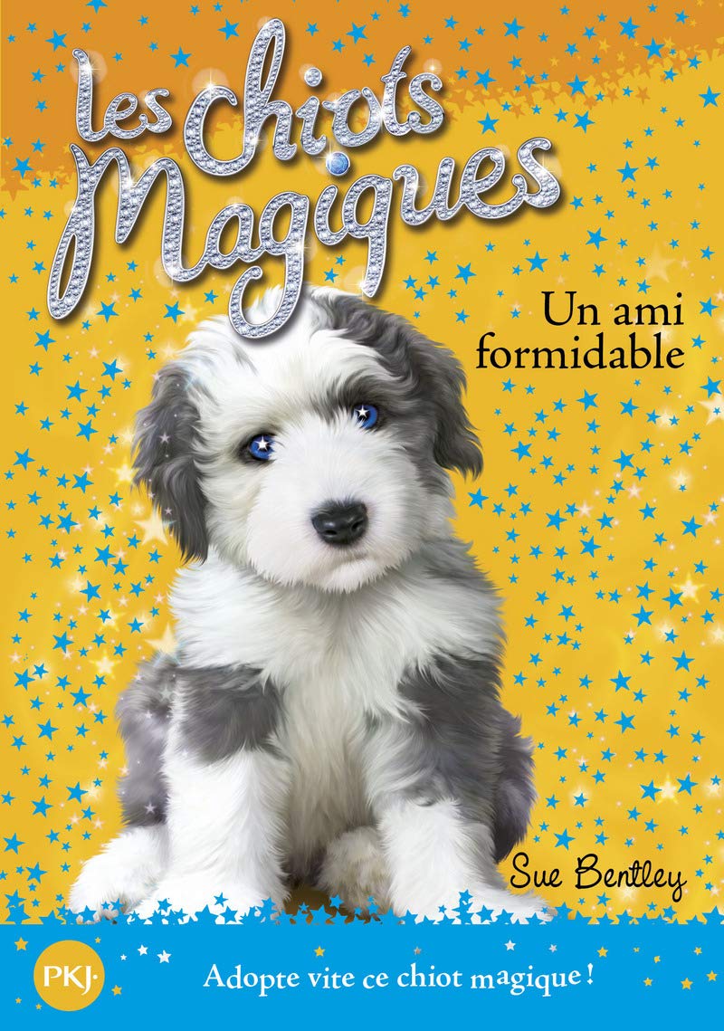 Les chiots magiques - tome 08 : Un ami formidable