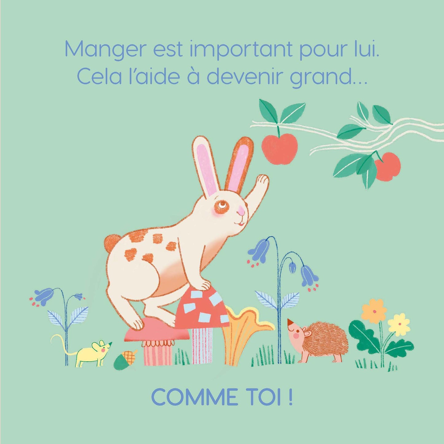 Bébé lapin