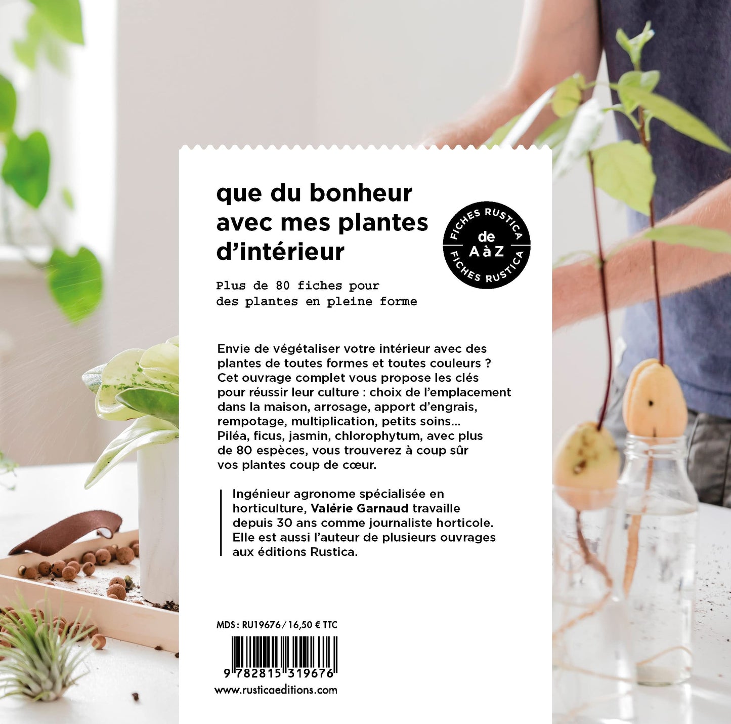 Que du bonheur avec mes plantes d intérieur