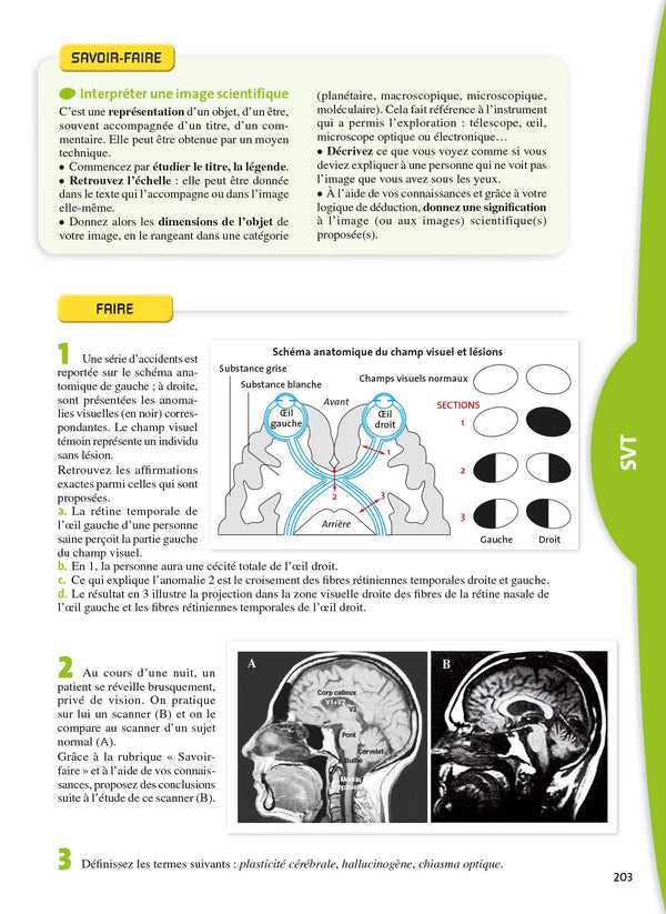 L'Anne de la 1re Es - Tout pour Réussir