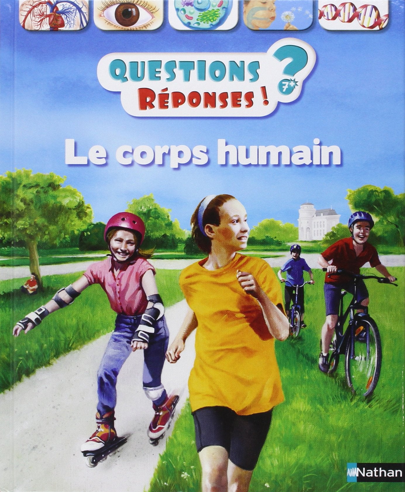 Le corps humain - Questions/Réponses - doc dès 7 ans