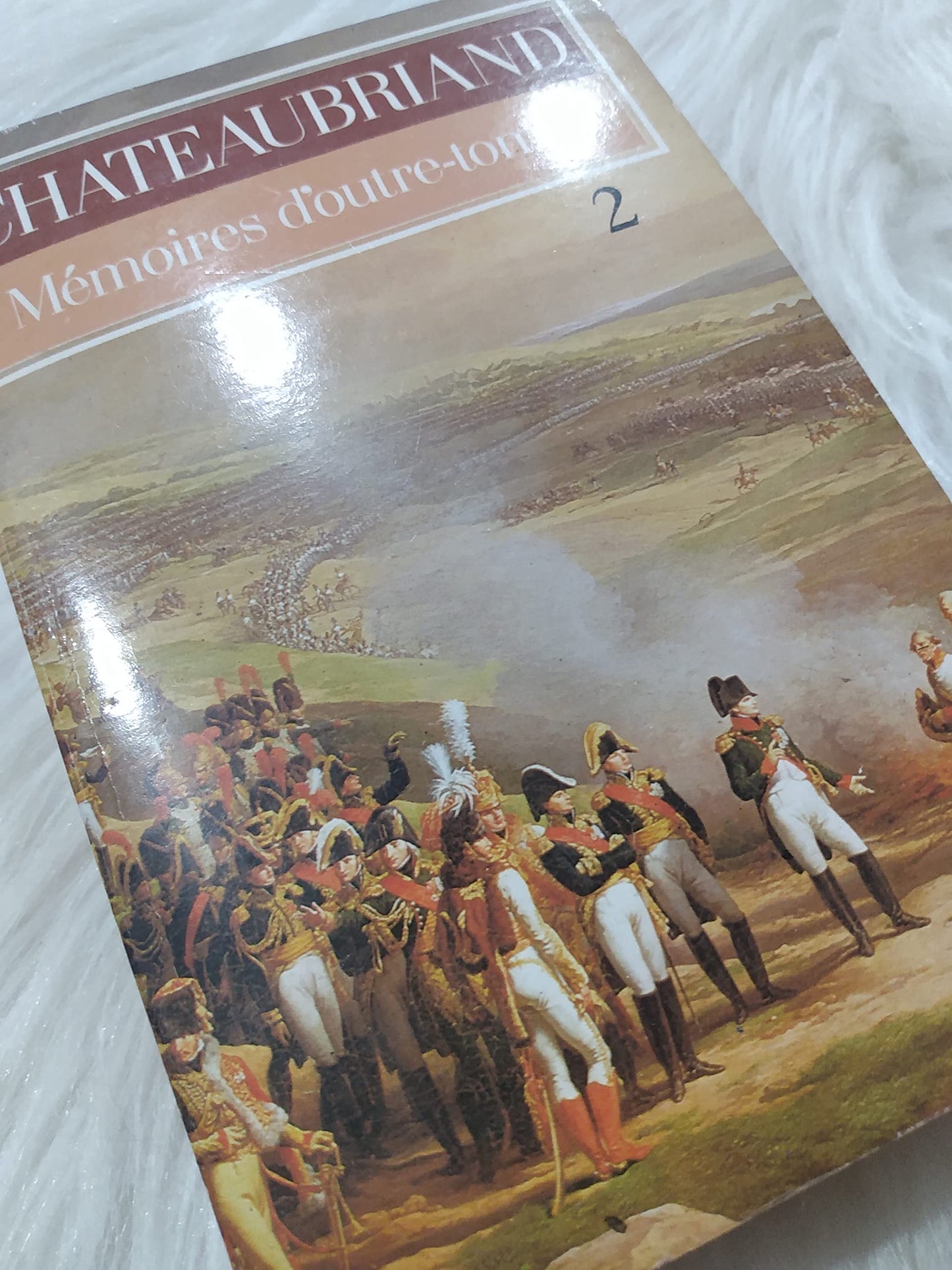 Mémoires d'outre-tombe, tome 2