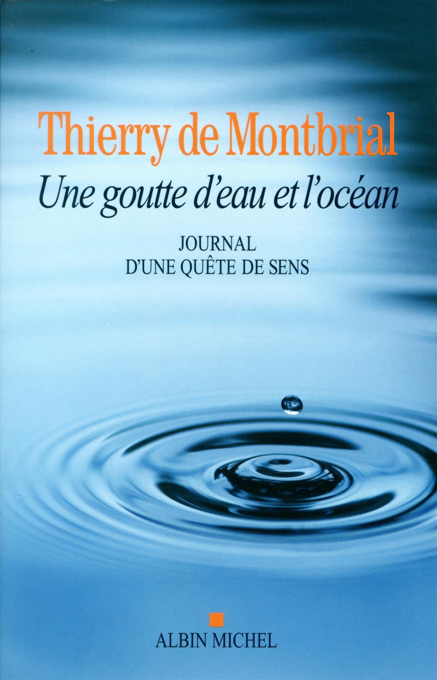 Une goutte d'eau et l'océan: Journal d'une quête de sens 1977-2014