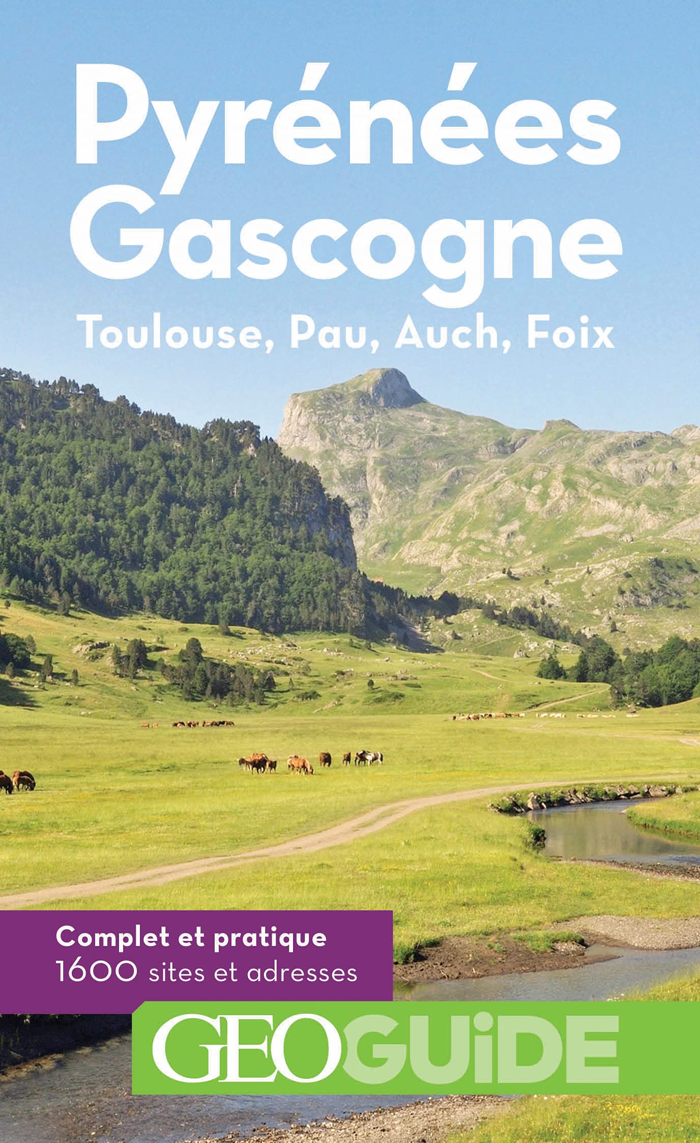 Pyrénées Gascogne: Toulouse, Pau, Auch, Foix