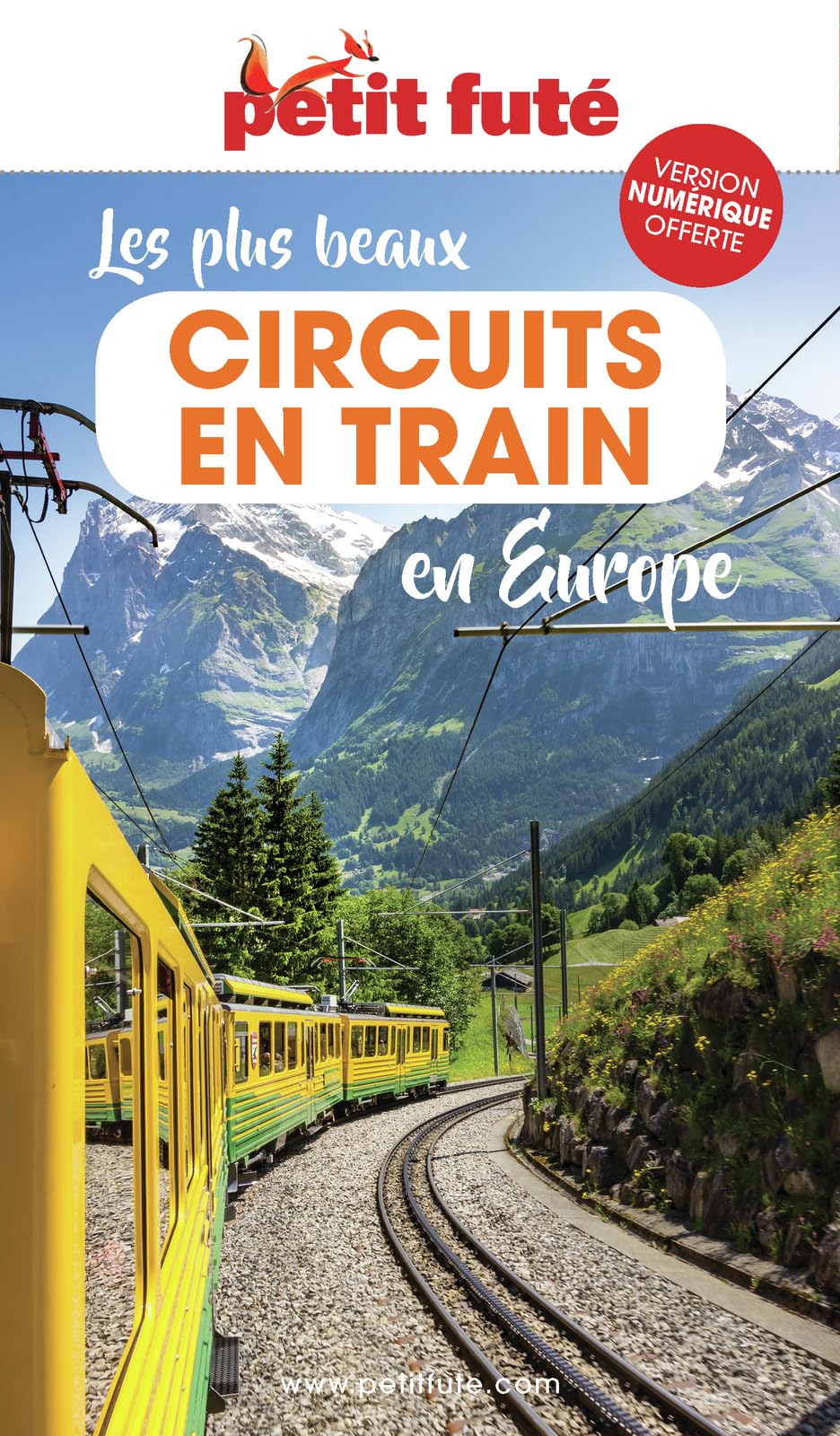 Guide Les Plus Beaux Circuits En Train En Europe 2023 Petit Futé (2023)