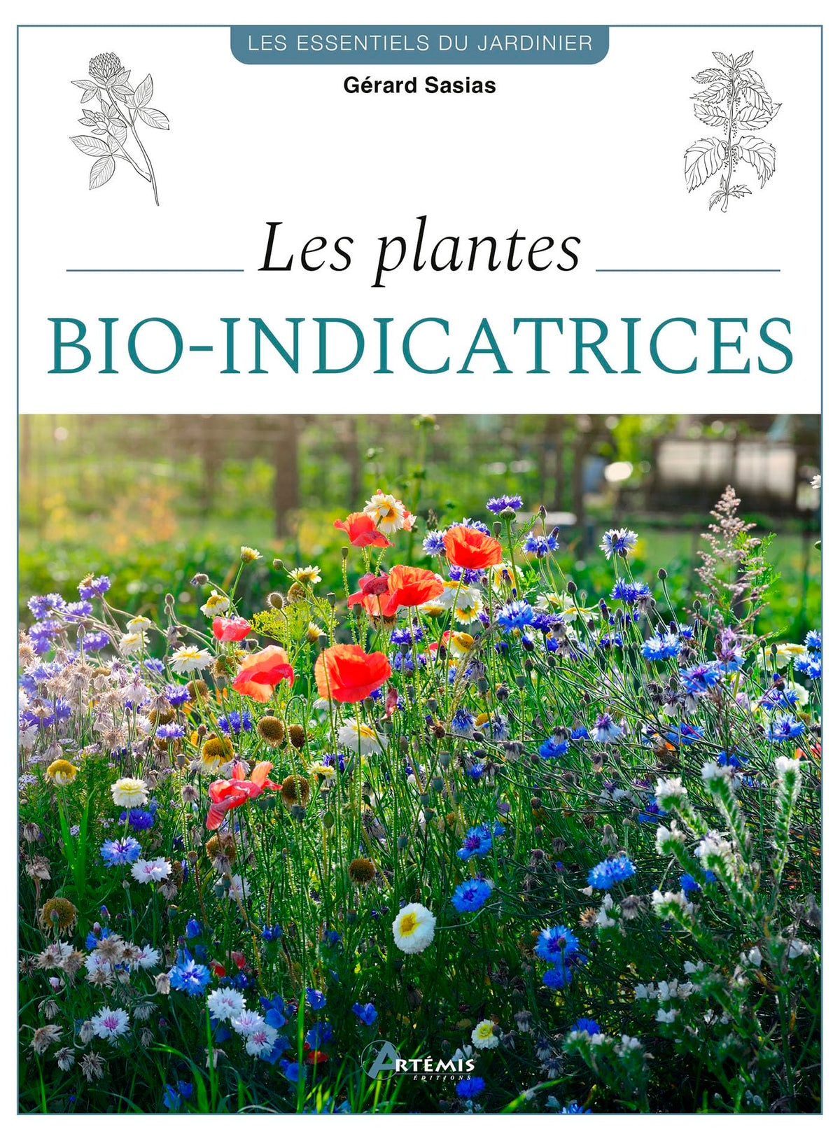 Les plantes bio-indicatrices: Optimiser votre terrain grâce aux plantes