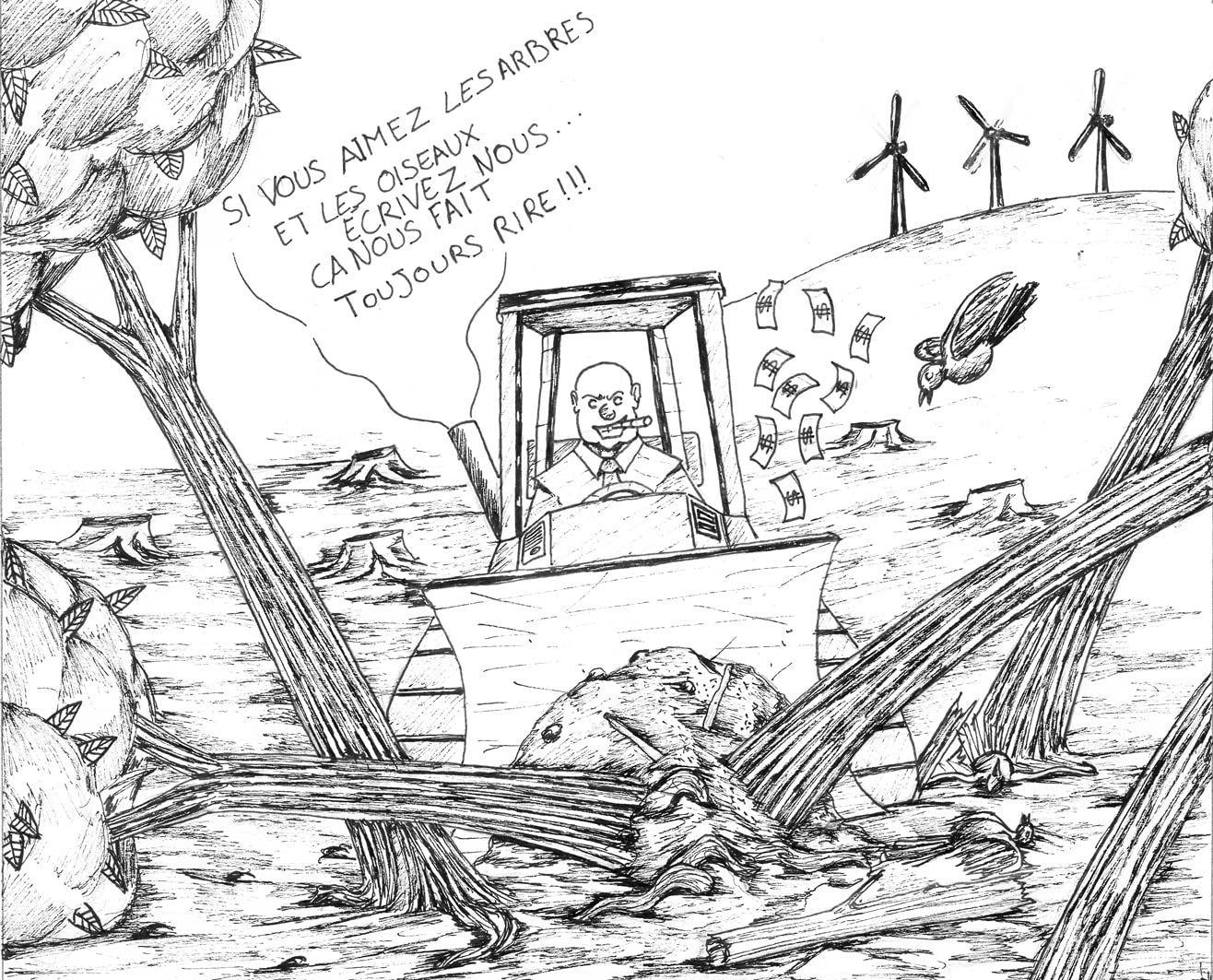 L'écologie bananière