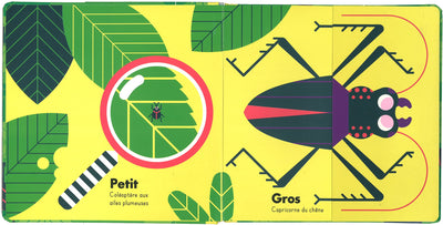 LES INSECTES (COLL. LOULOU & TUMMIE)