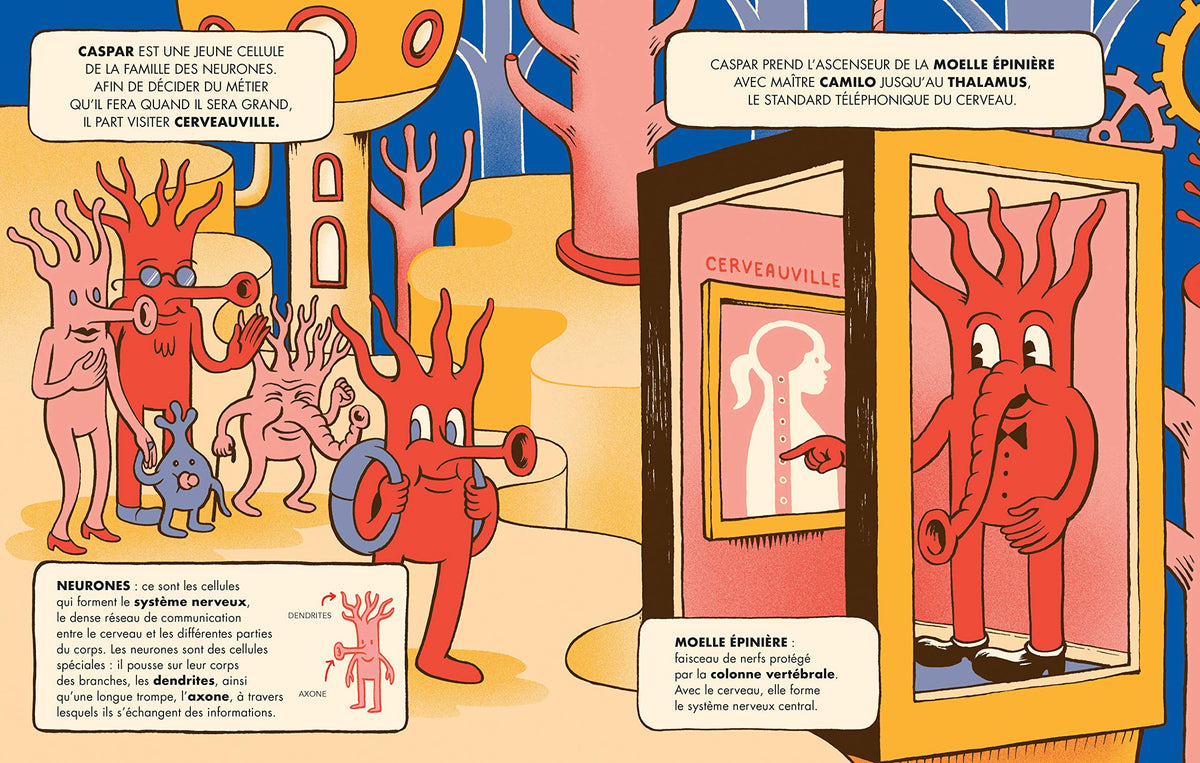 Bienvenue à Cerveauville: Pars à la découverte de ton cerveau