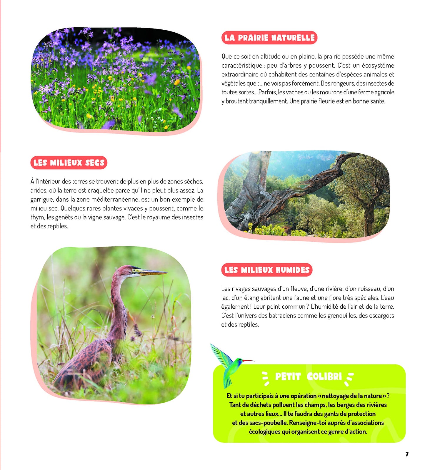 Vive la nature ! Mon premier guide d observation