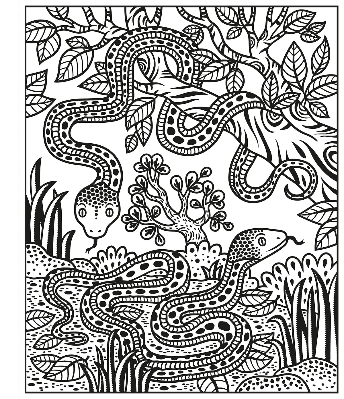 Au zoo - La peinture magique
