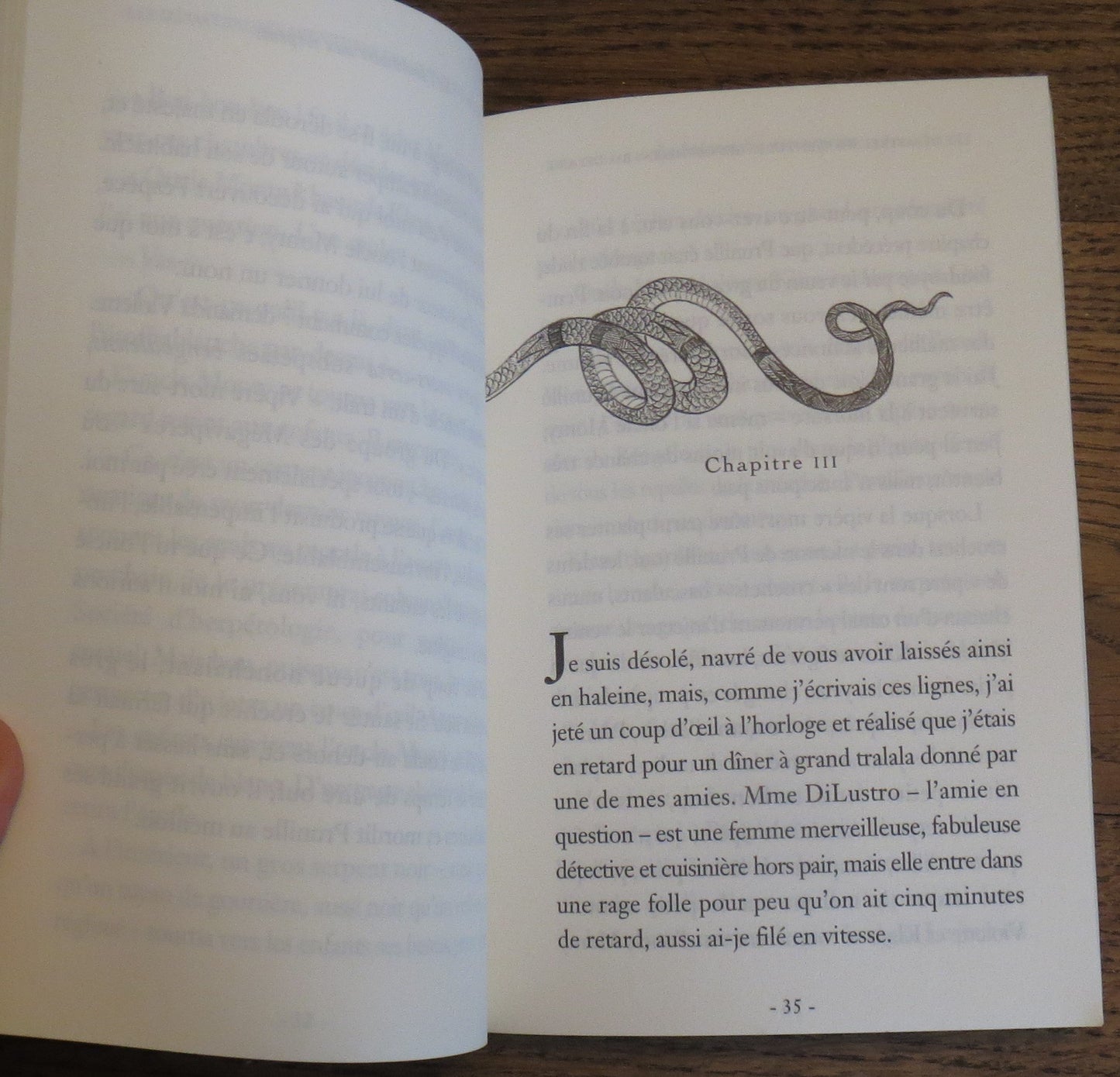 Les désastreuses aventures des Orphelins Baudelaire, tome 2 : Le Laboratoire aux serpents