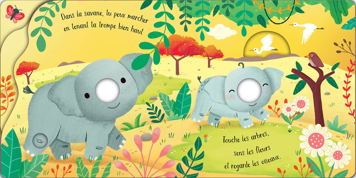 Drôles d'éléphants - Les petits doigts