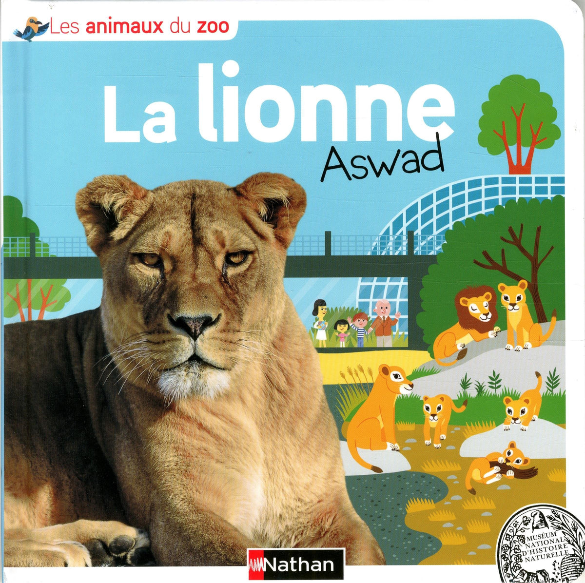 La lionne Aswad