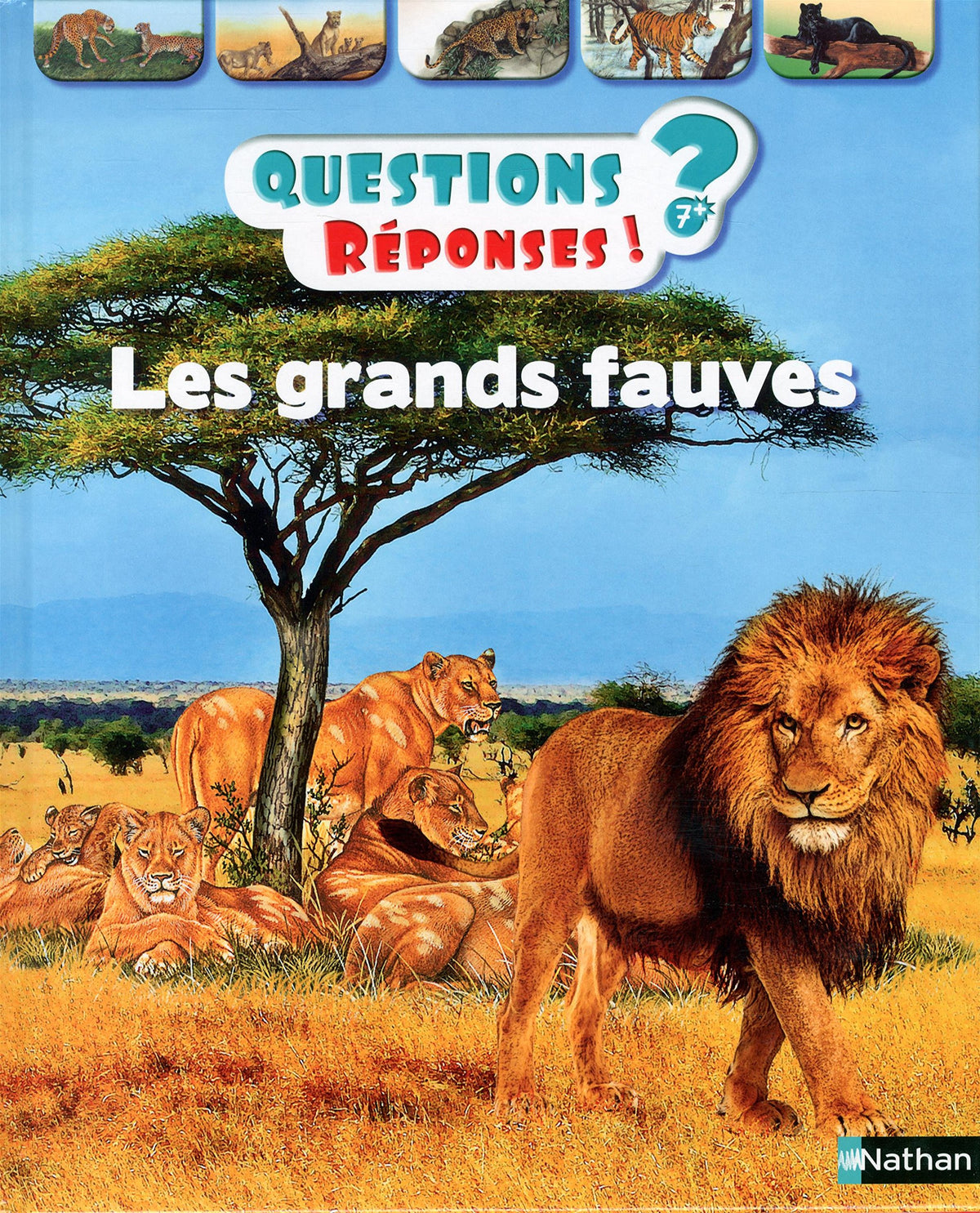 Les grands fauves - Questions/Réponses - doc dès 7 ans