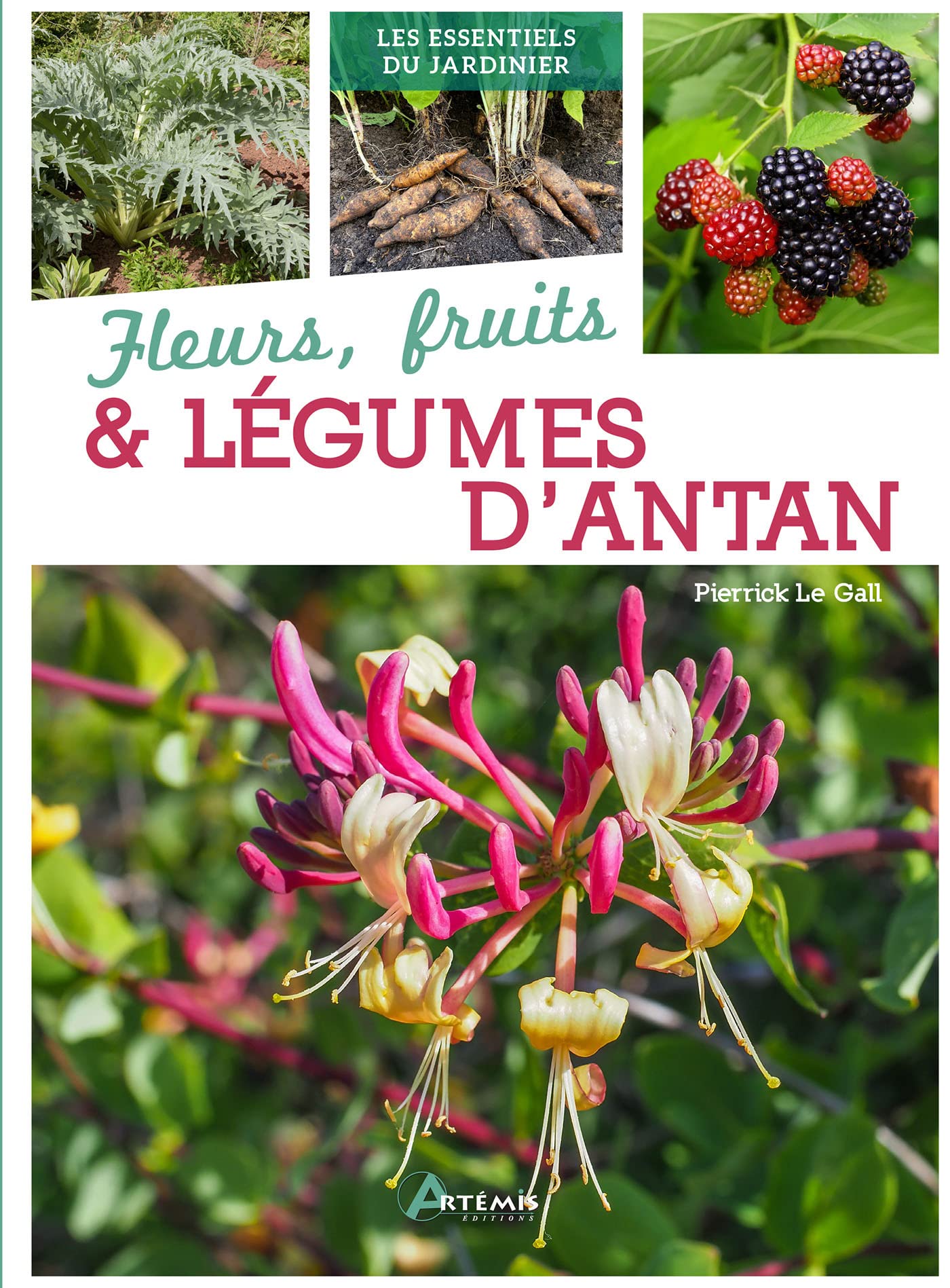 Fleurs, fruits & légumes d'antan