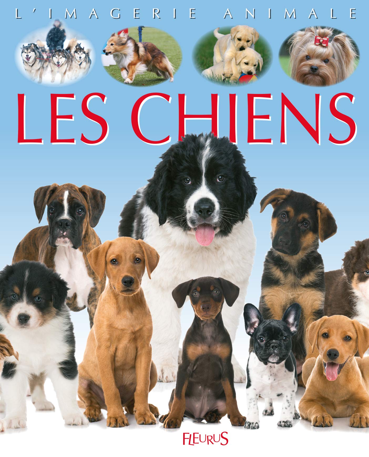 Les chiens