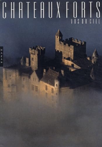 Les Châteaux forts vus du ciel