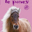 Le Poney