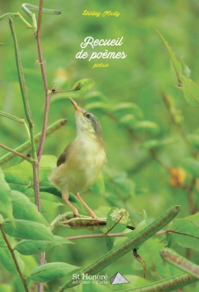 Recueil de poèmes