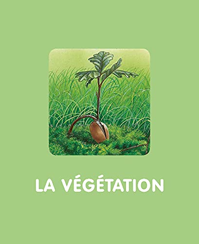 L'imagerie de la forêt