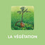 L'imagerie de la forêt