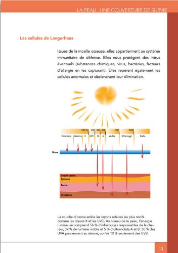 les secrets d'une belle peau