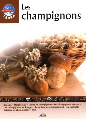 T11 - Les Champignons