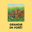 L'imagerie de la forêt